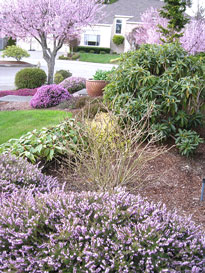 Viewpointe landscaped garden
