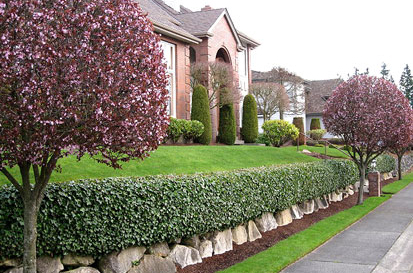 manicured landscapes